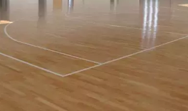 半岛的运动木地板